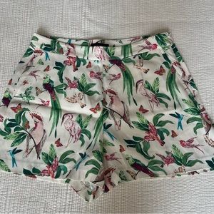 Ann Taylor Tropical Bird print shorts NWOT